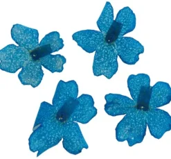 Trockenblumen Sortiment, 9 Tiegel
