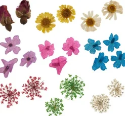 Trockenblumen Sortiment, 9 Tiegel