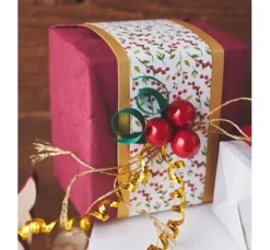 VBS Adventskalender "Rentier mit Schlitten"