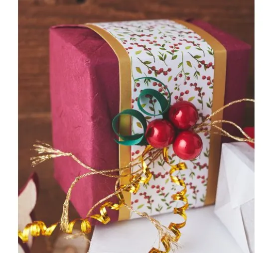 VBS Adventskalender "Rentier mit Schlitten"