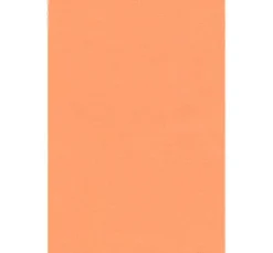 VBS Bastelfilz, 20 x 30 cm