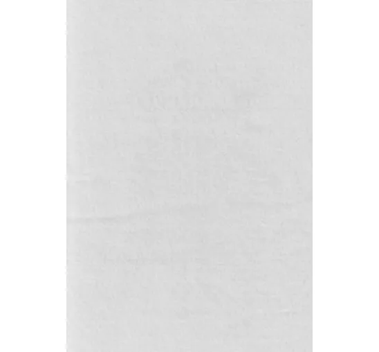 VBS Bastelfilz, 20 x 30 cm