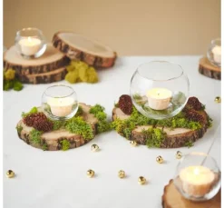 VBS Baumscheiben