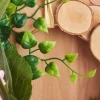 VBS Birkenscheiben-Mix "Rund"