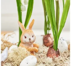VBS Hase