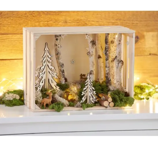 VBS Islandmoos, 100 g