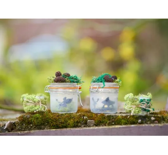 VBS Islandmoos, 100 g
