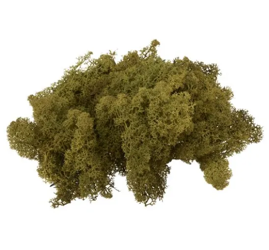 VBS Islandmoos, 100 g