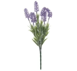 VBS Lavendel-Pick