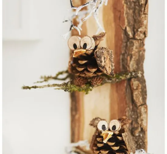 VBS Mini-Rindenscheiben "Rund"