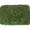VBS Moos, 750 g