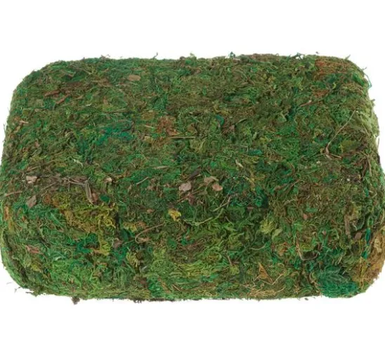 VBS Moos, 750 g