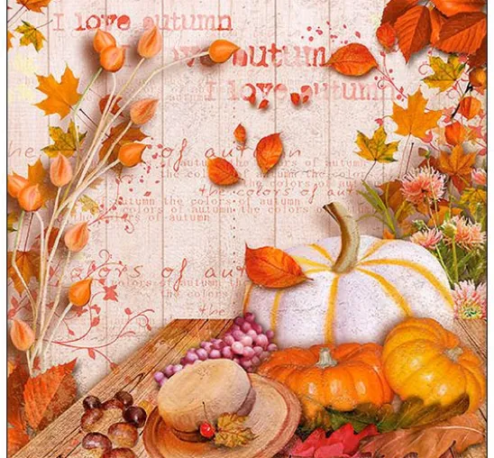 VBS Servietten-Set "Herbstklassiker"