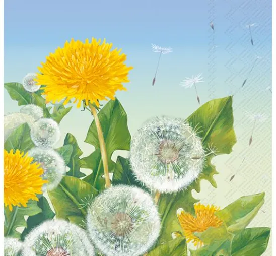 VBS Servietten-Set "Spring Time"