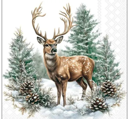 VBS Servietten-Set "Winter Season"