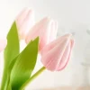 VBS Tulpe "Tammie"
