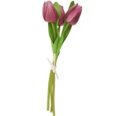 VBS Tulpe