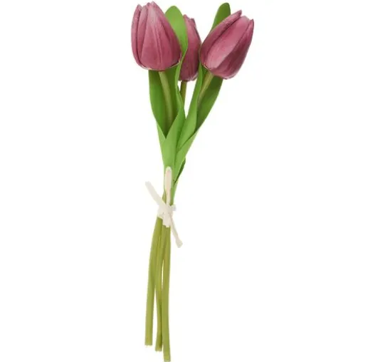 VBS Tulpe "Tammie"