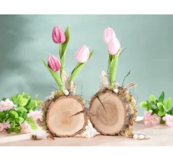 VBS Tulpe