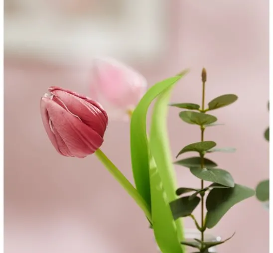 VBS Tulpe "Tammie"