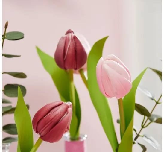 VBS Tulpe "Tammie"