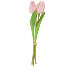 VBS Tulpe
