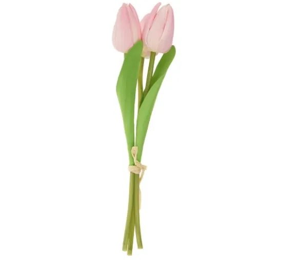 VBS Tulpe "Tammie"