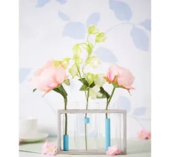 VBS Vase Reagenzglashalter "Cube"
