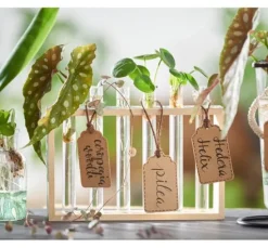 VBS Vase Reagenzglashalter 