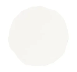 VBS Window Color
