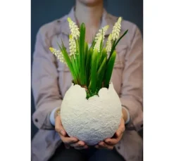 Viva Decor 