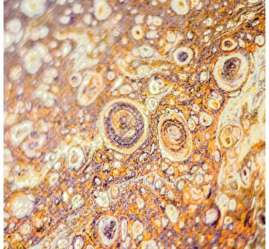 Viva Decor Pouring Medium Fluid