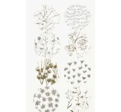 Washi Sticker