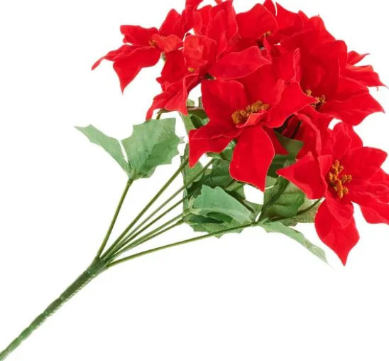Weihnachtsstern-Pick mit 9 Blüten